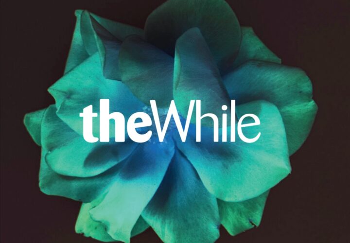 The While – ‘The While’ (2026)